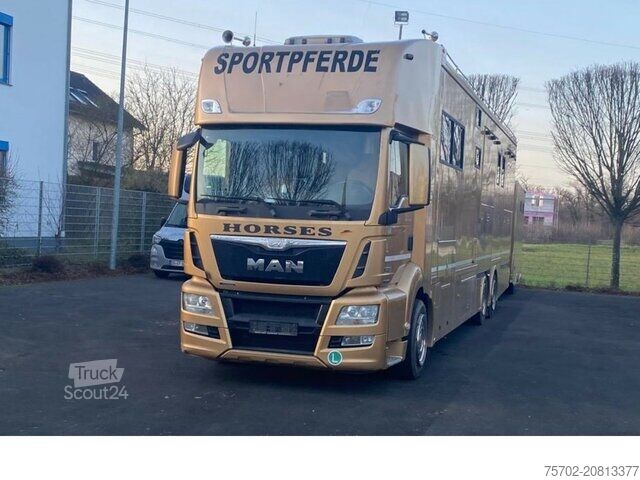 Camion per bestiame MAN TGS 26480 5 Pferde und Wohnung