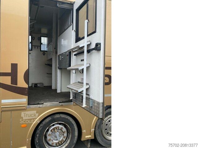 Camion per bestiame MAN TGS 26480 5 Pferde und Wohnung