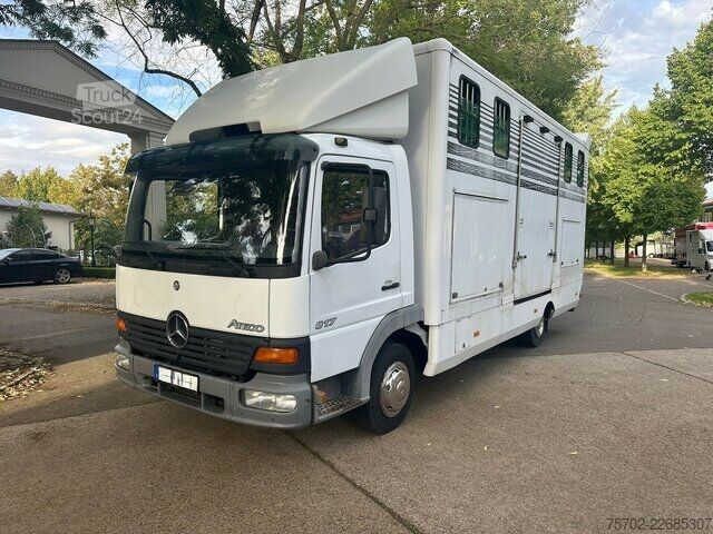 Pakettiauto Mercedes-Benz 817 2-4 Pferde
