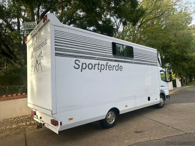 Pakettiauto Mercedes-Benz 817 2-4 Pferde