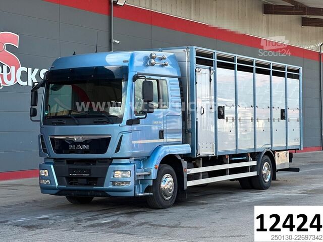 Tovorni avtomobil za prevoz živine MAN TGM 15.290 1 Stock Köstner Viehaufbau