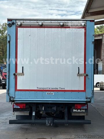 Tovorni avtomobil za prevoz živine MAN TGM 15.290 1 Stock Köstner Viehaufbau