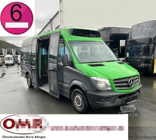 Transportul de călători Mercedes-Benz Sprinter 314 Mobility