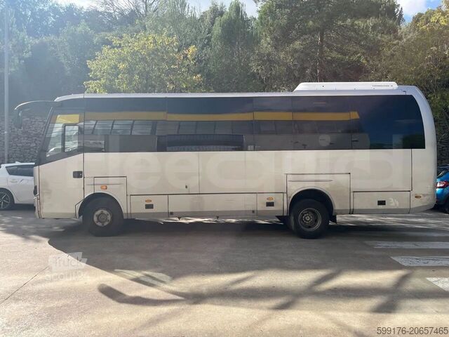 Trener Beulas Man Gianino