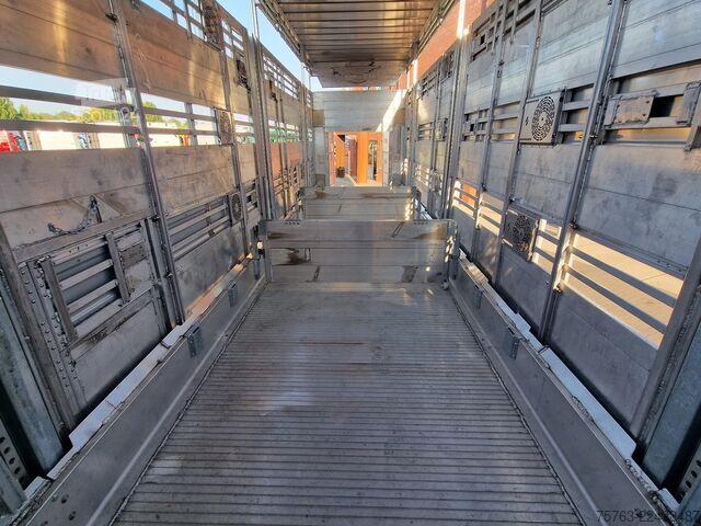 Transporte de gado Pezzaioli SBA31 SR - NEW - 3+4 Floor - lift axle - liftin...