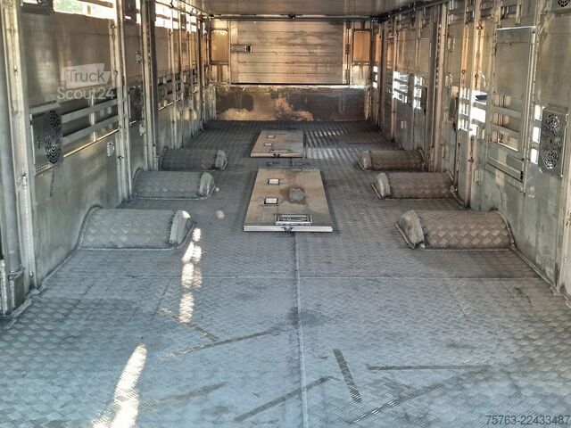 Transporte de gado Pezzaioli SBA31 SR - NEW - 3+4 Floor - lift axle - liftin...
