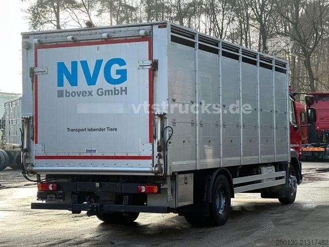 Viehtransporter LKW DAF LF 280 4x2 BL 1.Stock Viehwagen ACC LDW CAM