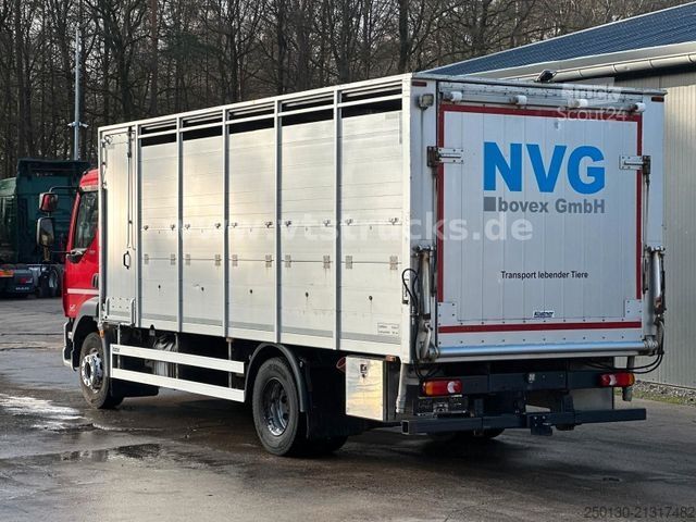 Viehtransporter LKW DAF LF 280 4x2 BL 1.Stock Viehwagen ACC LDW CAM