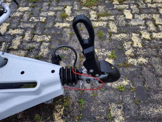Caravana HOBBY Excellent 495 UFe Franzbett - Nr. 21  (5)