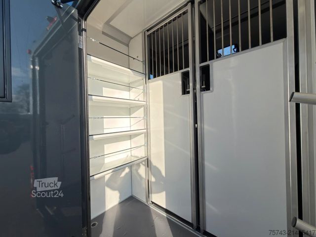 Transportador de gado RENAULT Master STX 5 Sitzer Haras ex. Lang Automatik