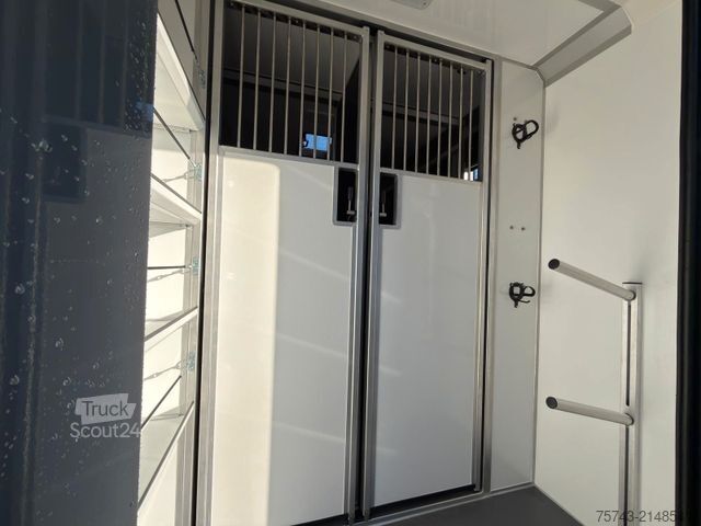 Transportador de gado RENAULT Master STX 5 Sitzer Haras ex. Lang Automatik