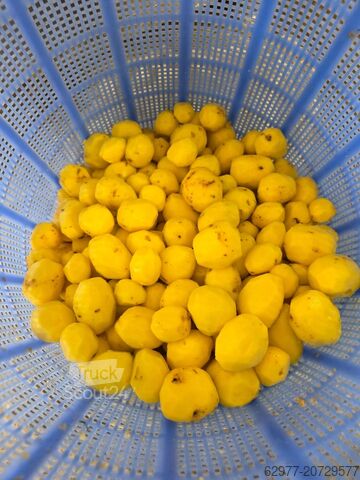 Vogel GmbH Vogel GmbH Vogel GmbH