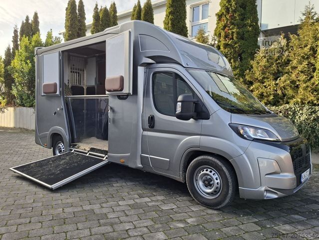 Μεταφορέας ζώων FIAT Ducato 5-Sitze ATM 2 Pferde Kamera Lüftung Haras