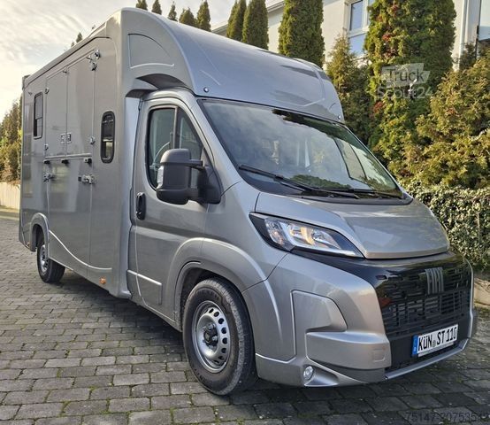 Μεταφορέας ζώων FIAT Ducato 5-Sitze ATM 2 Pferde Kamera Lüftung Haras