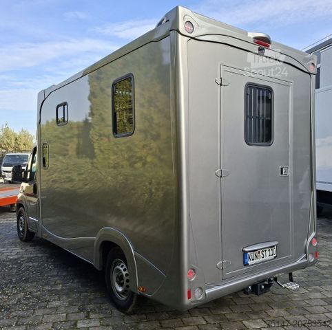 Μεταφορέας ζώων FIAT Ducato 5-Sitze ATM 2 Pferde Kamera Lüftung Haras