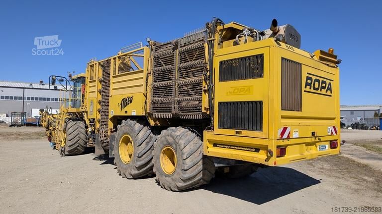 Sokerijuurikkaan puimuri Ropa TIGER V8-3 beet harvester / 6000 MTH