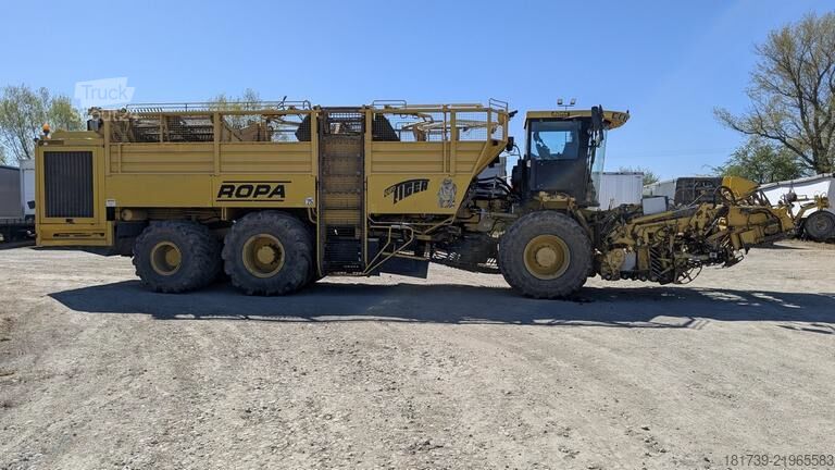 Sokerijuurikkaan puimuri Ropa TIGER V8-3 beet harvester / 6000 MTH
