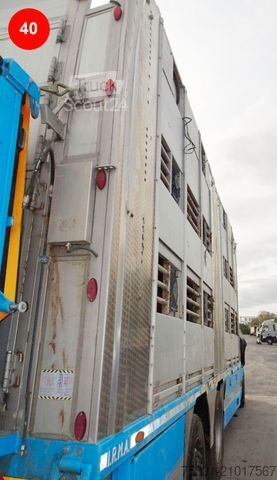 Camion pour bétail SCANIA S650 HIGHLINE