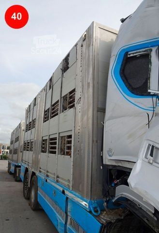 Camion pour bétail SCANIA S650 HIGHLINE