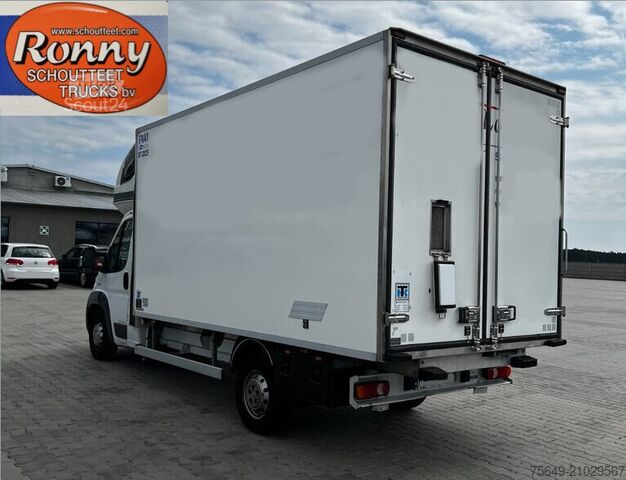 Kühlcontainer Fiat Ducato Maxi Multijet 4x2