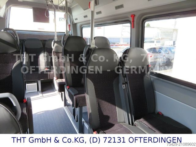 Stadtbus MERCEDES-BENZ 519 CDI CITY Mittelniederflur +HECKTÜRE  8050mm