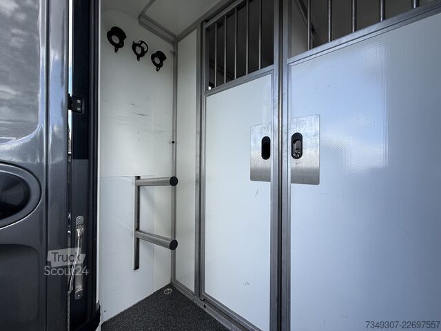 Перевозка лошадей Opel Movano | HORSETRUCK | KRISMAR | STALLION 5XL | ...