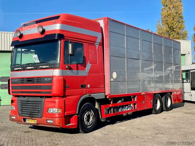 Transport de bétail DAF XF 95.430 BERDEX  3 decks.  Water, fans, Scales...