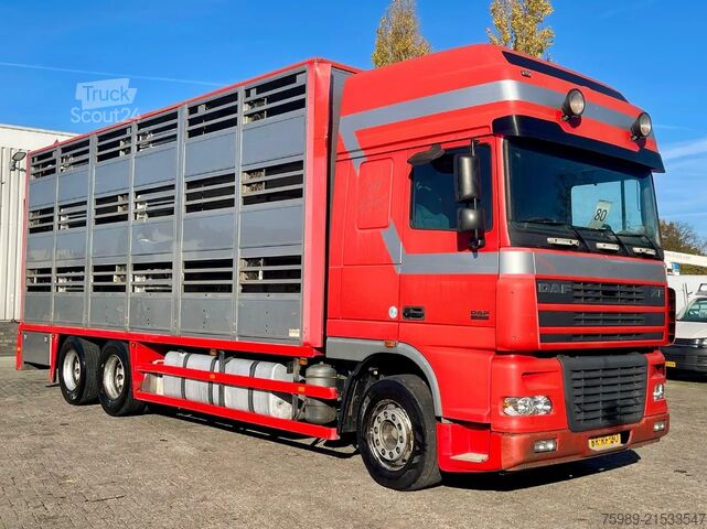Transport de bétail DAF XF 95.430 BERDEX  3 decks.  Water, fans, Scales...