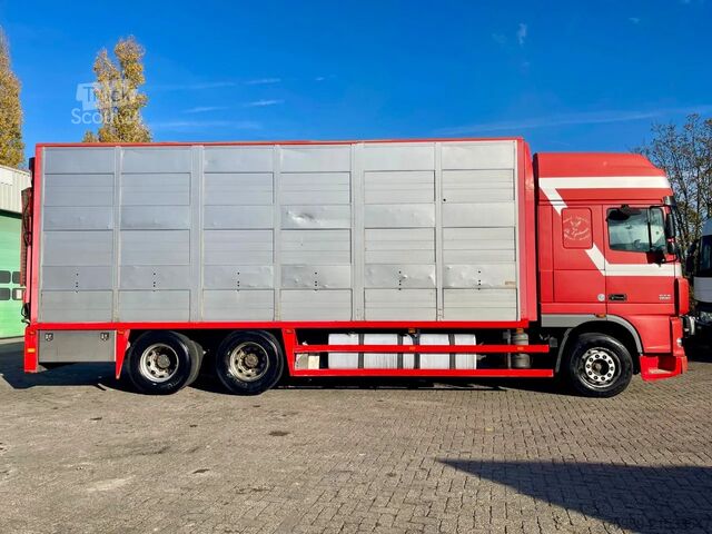 Transport de bétail DAF XF 95.430 BERDEX  3 decks.  Water, fans, Scales...