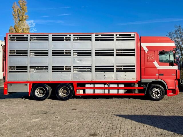 Transport de bétail DAF XF 95.430 BERDEX  3 decks.  Water, fans, Scales...
