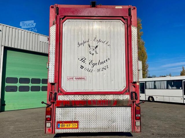Transport de bétail DAF XF 95.430 BERDEX  3 decks.  Water, fans, Scales...