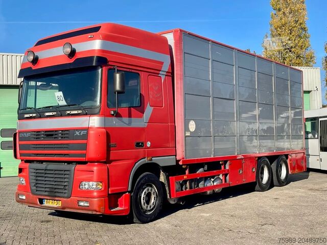 Karjan kuljetus DAF XF 95.430 BERDEX 3 decks. Water, fans, Scales! ...