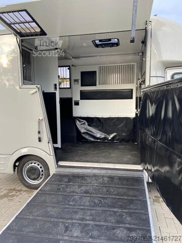 Furgão de painéis Renault Master STX