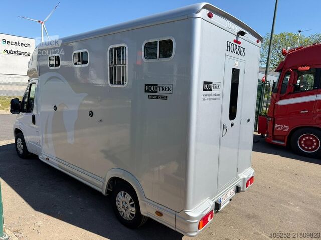 Paardenvervoer Peugeot Equi-Trek Sonic SW35P HORSE TRUCK (2) PAARDENCA...