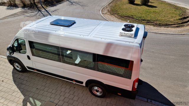 Minibus FIAT 1x Ducato 1x  Opel Movano 18 SS  in Stock