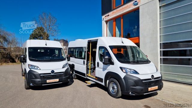 Minibus FIAT 1x Ducato 1x  Opel Movano 18 SS  in Stock