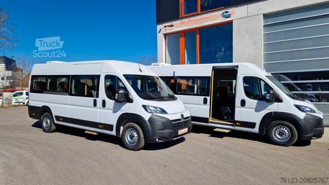 Minibus FIAT 1x Ducato 1x Opel Movano 18 SS in Stock