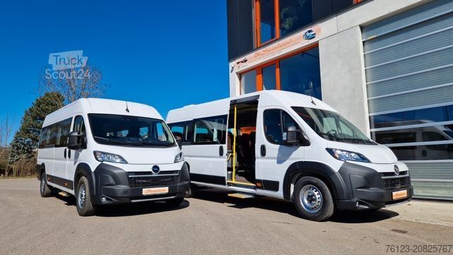 Minibus FIAT 1x Ducato 1x Opel Movano 18 SS in Stock