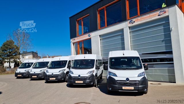 Minibus FIAT 1x Ducato 1x Opel Movano 18 SS in Stock