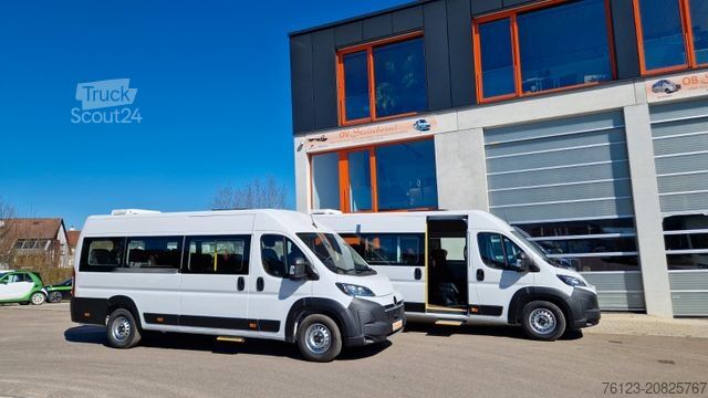 Minibus FIAT 1x Ducato 1x Opel Movano 18 SS in Stock