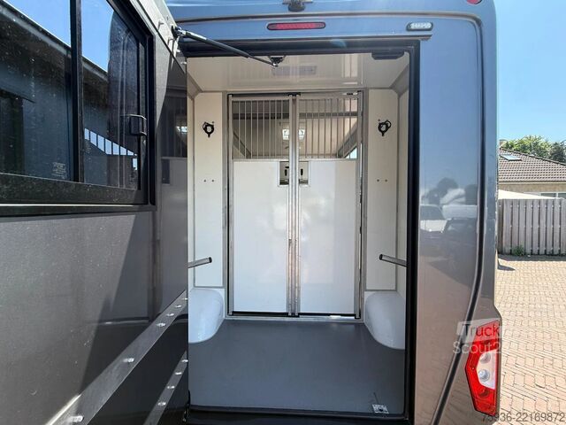 Transport de chevaux Renault Master STX S3 Paardenwagen Hengsten uitvoering ...
