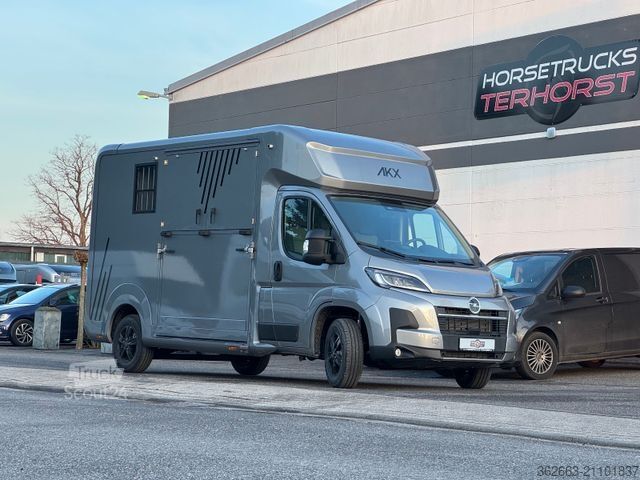 Veetransporter OPEL Movano AUTOM. AKX 3- Haras Pferdetransporter