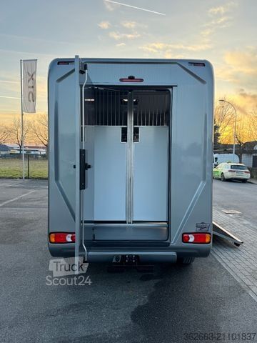 Veetransporter OPEL Movano AUTOM. AKX 3- Haras Pferdetransporter