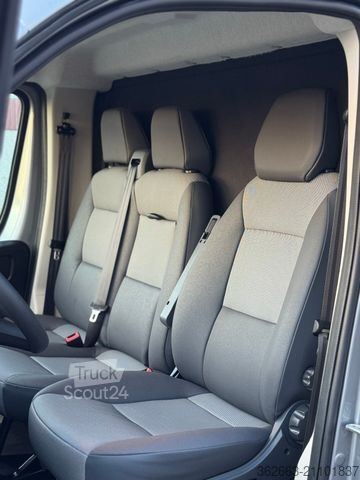 Veetransporter OPEL Movano AUTOM. AKX 3- Haras Pferdetransporter