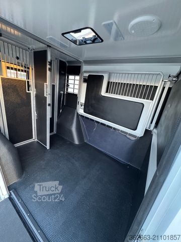 Veetransporter RENAULT Master ZF 9-GANG AUTOM. 2025er STX 5-Haras LONG