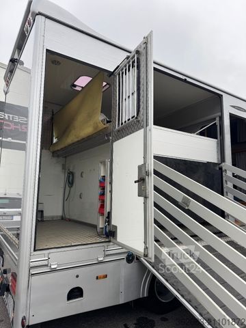 Viehtransporter MERCEDES-BENZ Atego Böckmann Kompakter Pferde-LKW mit Wohnung