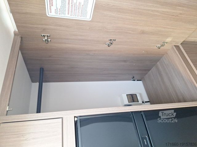 Capucine CARADO pro A 464