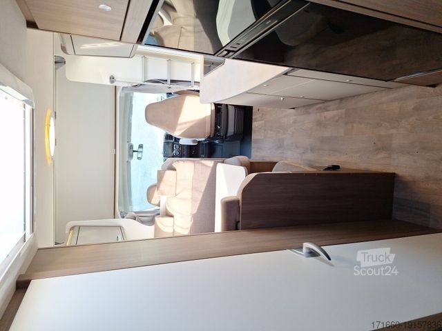 Capucine CARADO pro A 464