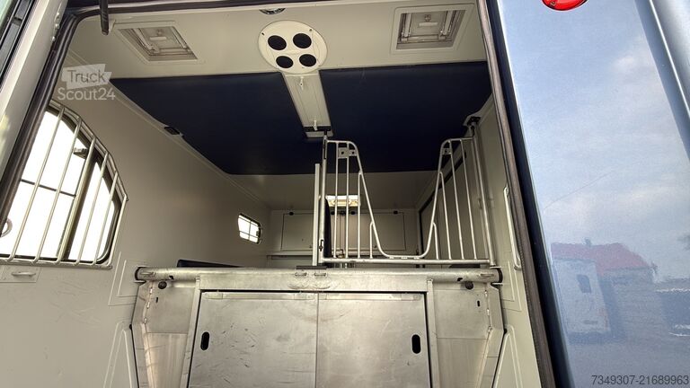 Prevoz konj Renault Master | HORSETRUCK | THEAULT | PRO SAFETY 5 | ...