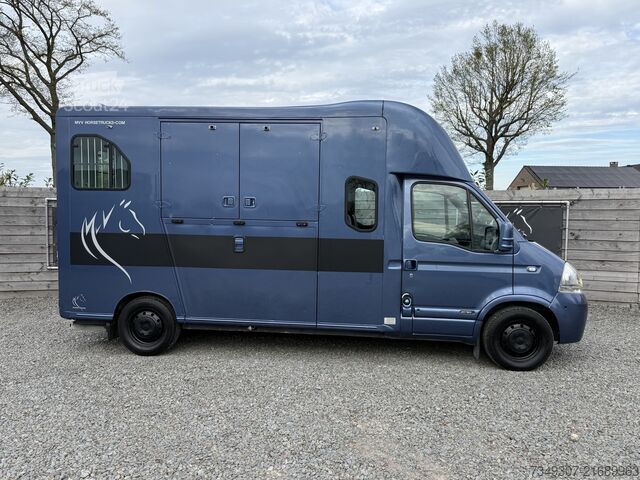 Paarden transport Renault Master | HORSETRUCK | THEAULT | PRO SAFETY 5 | ...